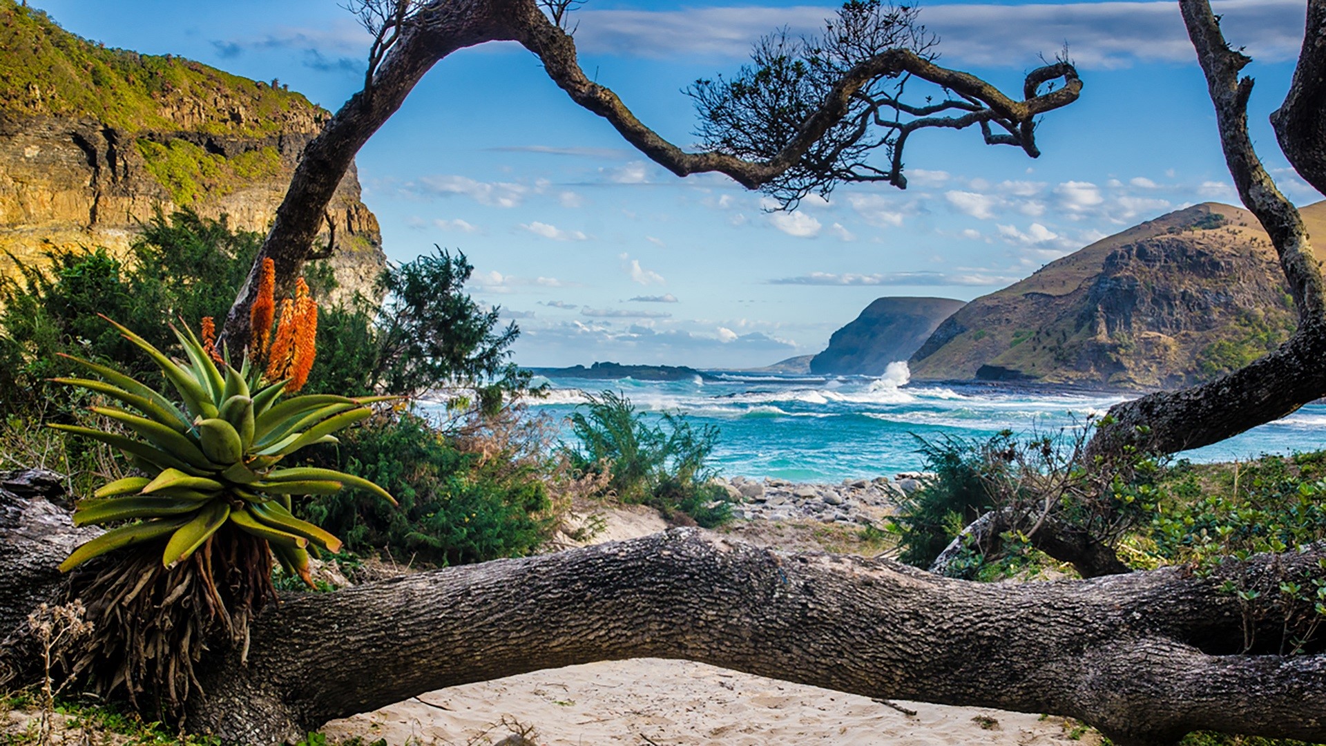 A picturesque view of an aquamarine ocean. In the forefront, there are thick, brown tree branches framing the photo, with white sand below the trunk in the foreground. To the left and right of the background, mountains contain the ocean.