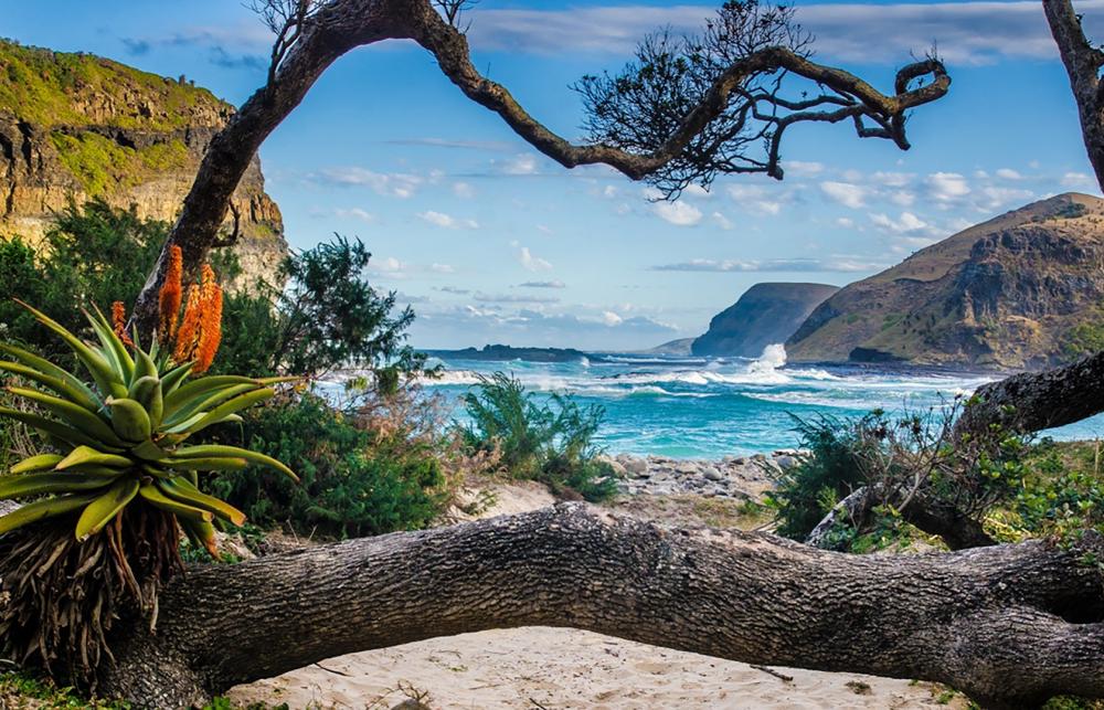 A picturesque view of an aquamarine ocean. In the forefront, there are thick, brown tree branches framing the photo, with white sand below the trunk in the foreground. To the left and right of the background, mountains contain the ocean.